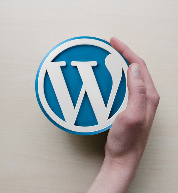 WordPress SEO Consultant