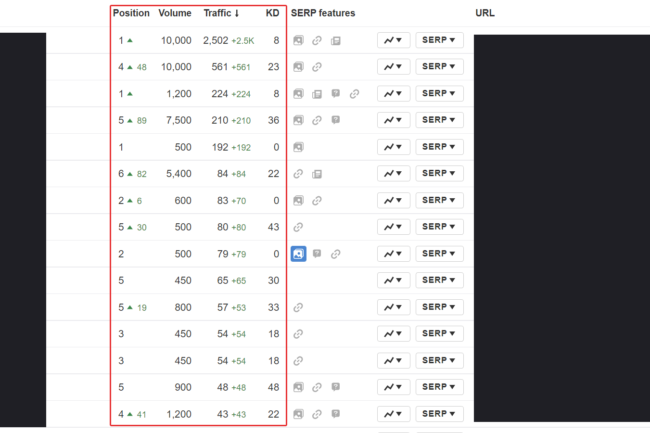 SEO Results 1
