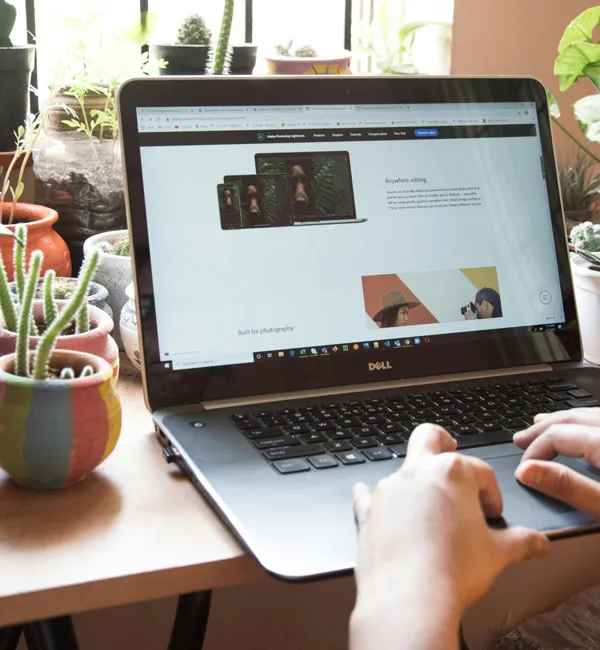 link building services